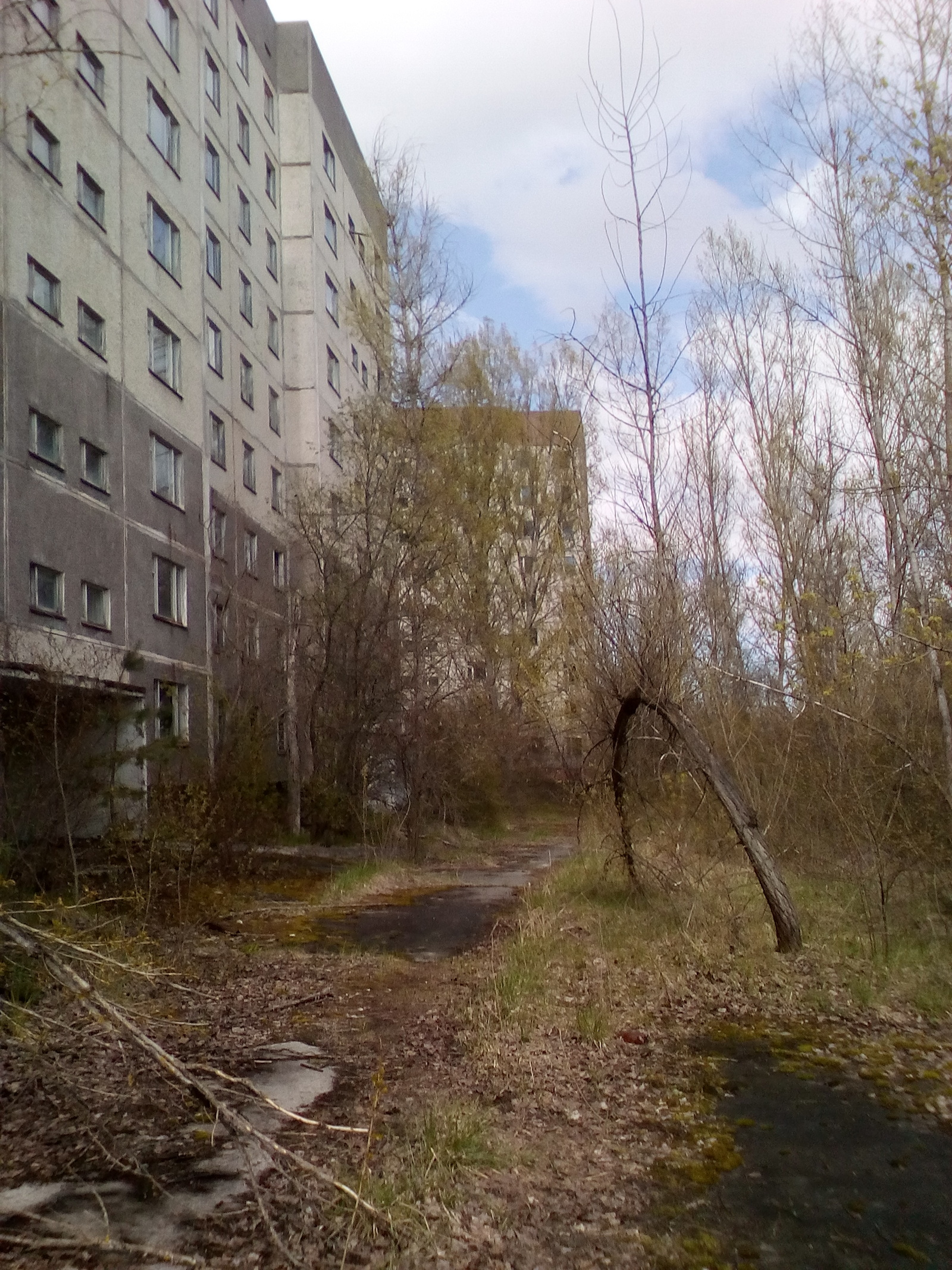 Pripyat 31 years later. - My, Pripyat, Chernobyl, , Longpost