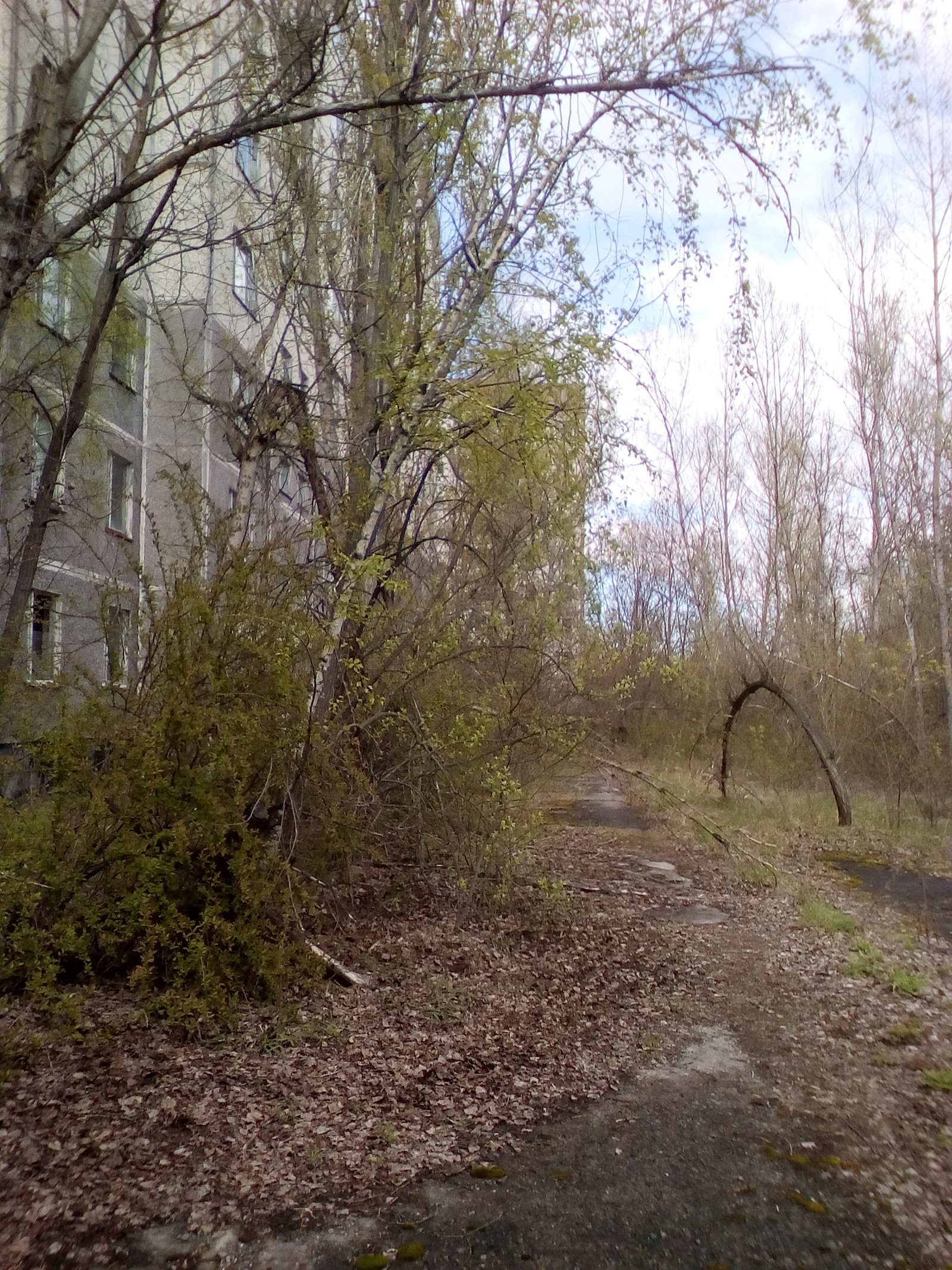 Pripyat 31 years later. - My, Pripyat, Chernobyl, , Longpost