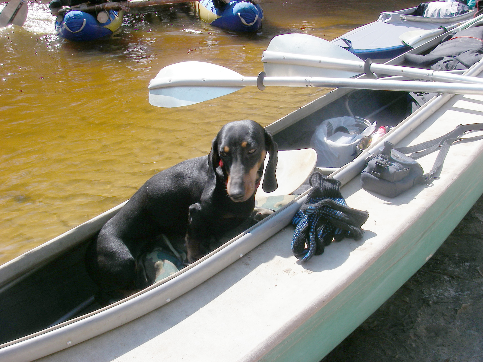 All for alloy! - My, May, Alloy, Tourism, Hike, Kayak, Catamaran, The photo, Nature, Longpost