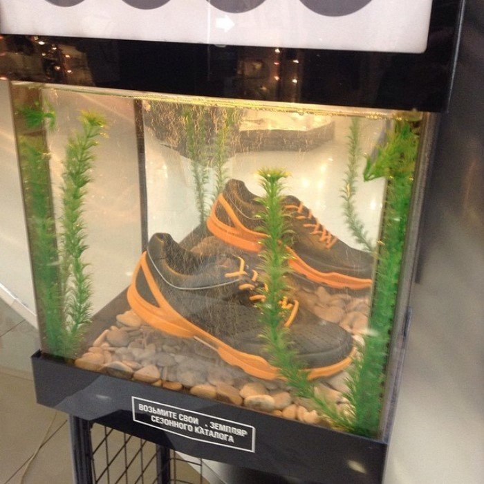 Take yours! - Sneakers, Aquarium, WTF