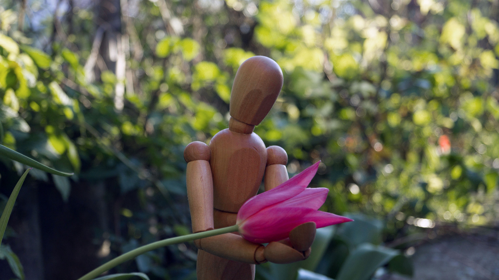 Wood. - My, Flowers, The photo, Longpost, Figurines, IKEA