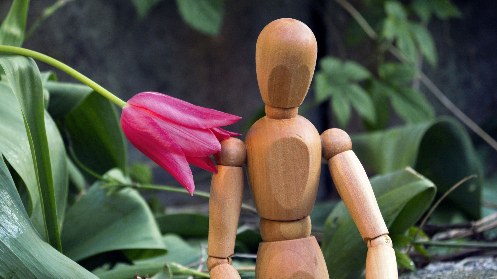 Wood. - My, Flowers, The photo, Longpost, Figurines, IKEA