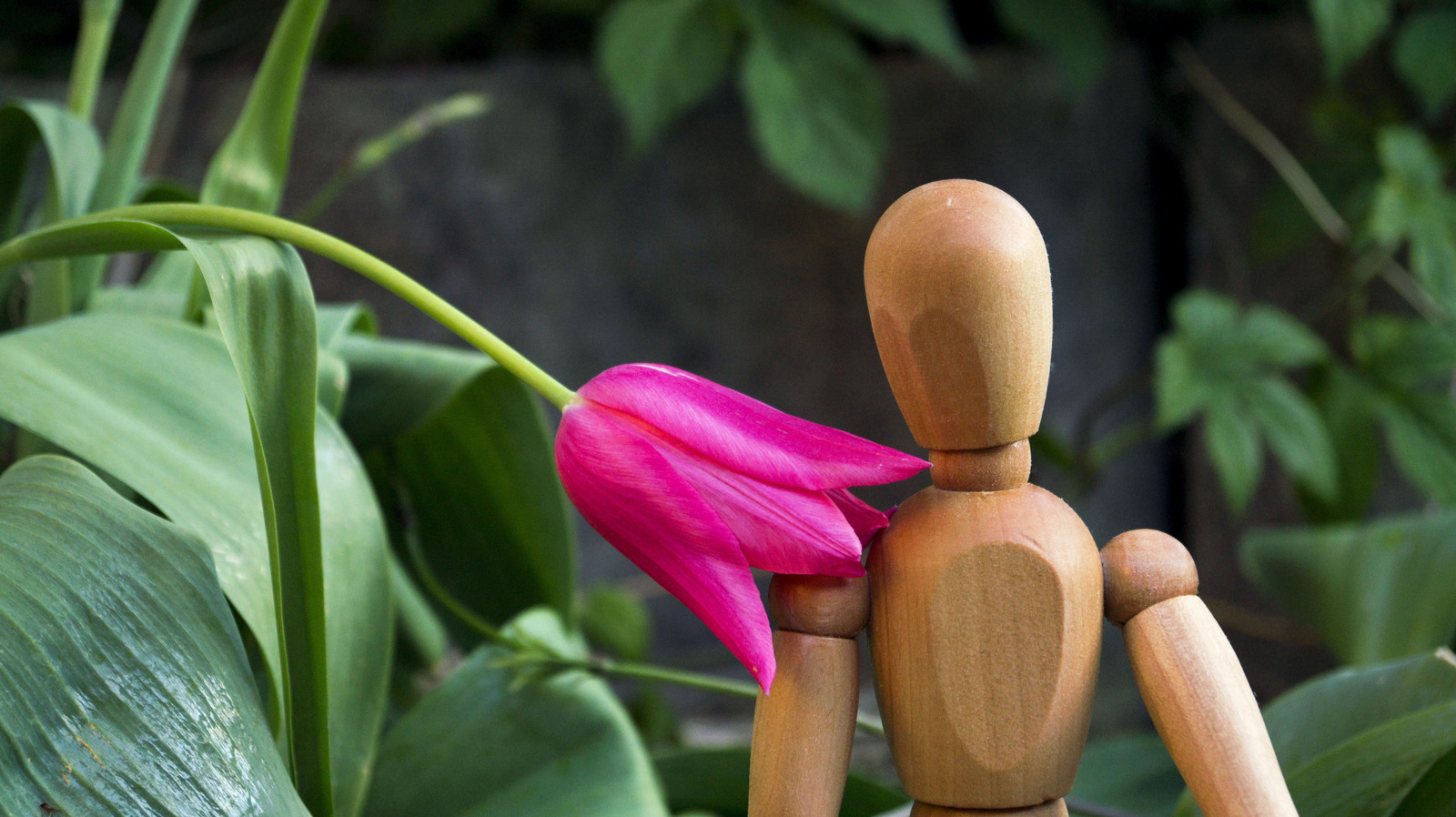 Wood. - My, Flowers, The photo, Longpost, Figurines, IKEA