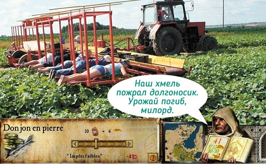 Flying over Belarus, Lukashenka noticed that 30% of winter crops died in the fields - Republic of Belarus, Daddy, Сельское хозяйство