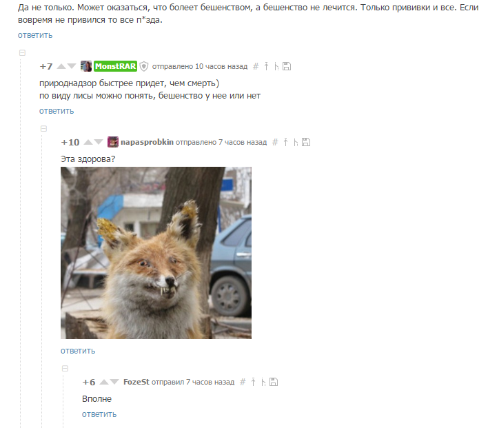 About fox madness - Comments, Comments on Peekaboo, Fox, Rabies