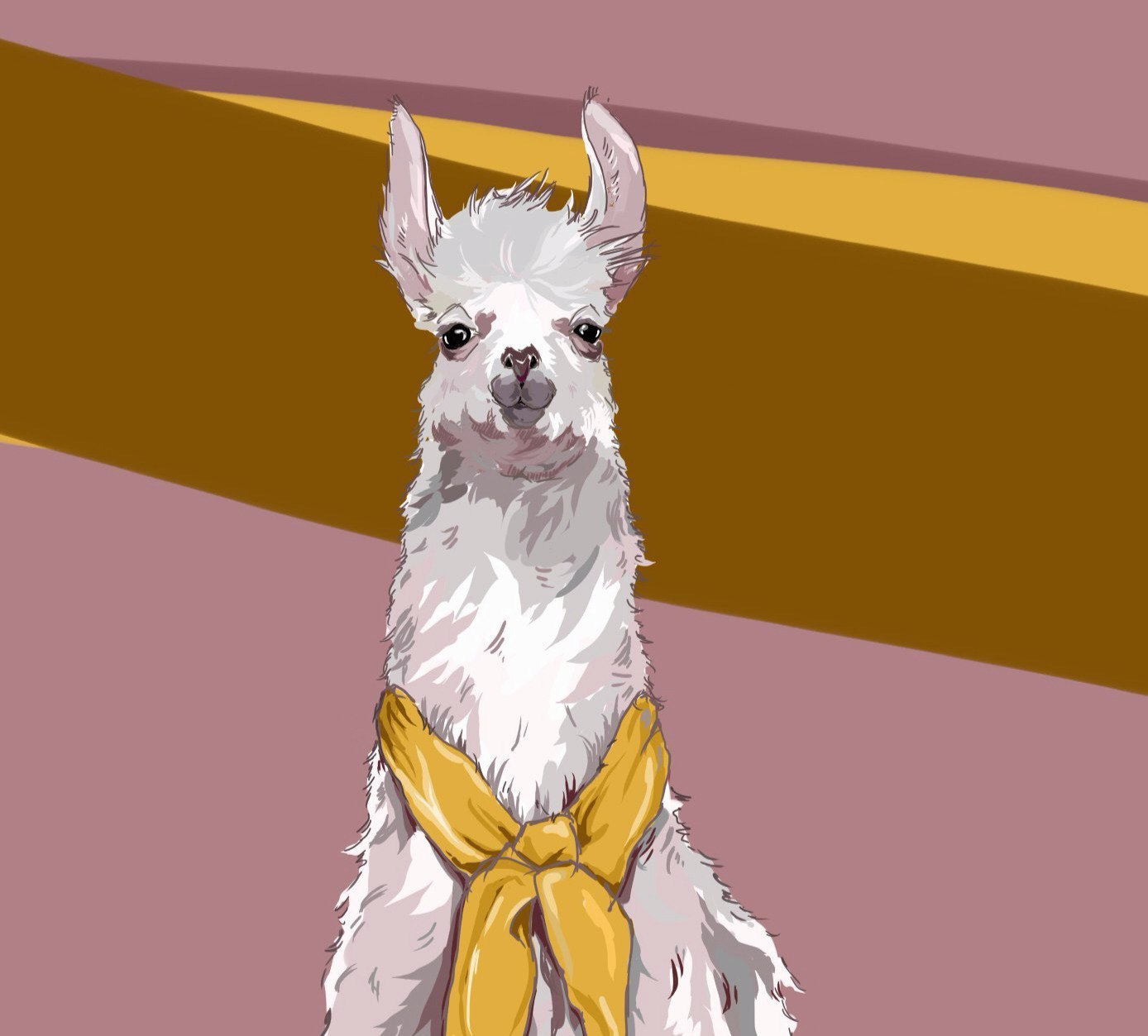 I'm drawing again! - My, Art, My, Images, Wool, Llama, Alpaca, Artist, Animals