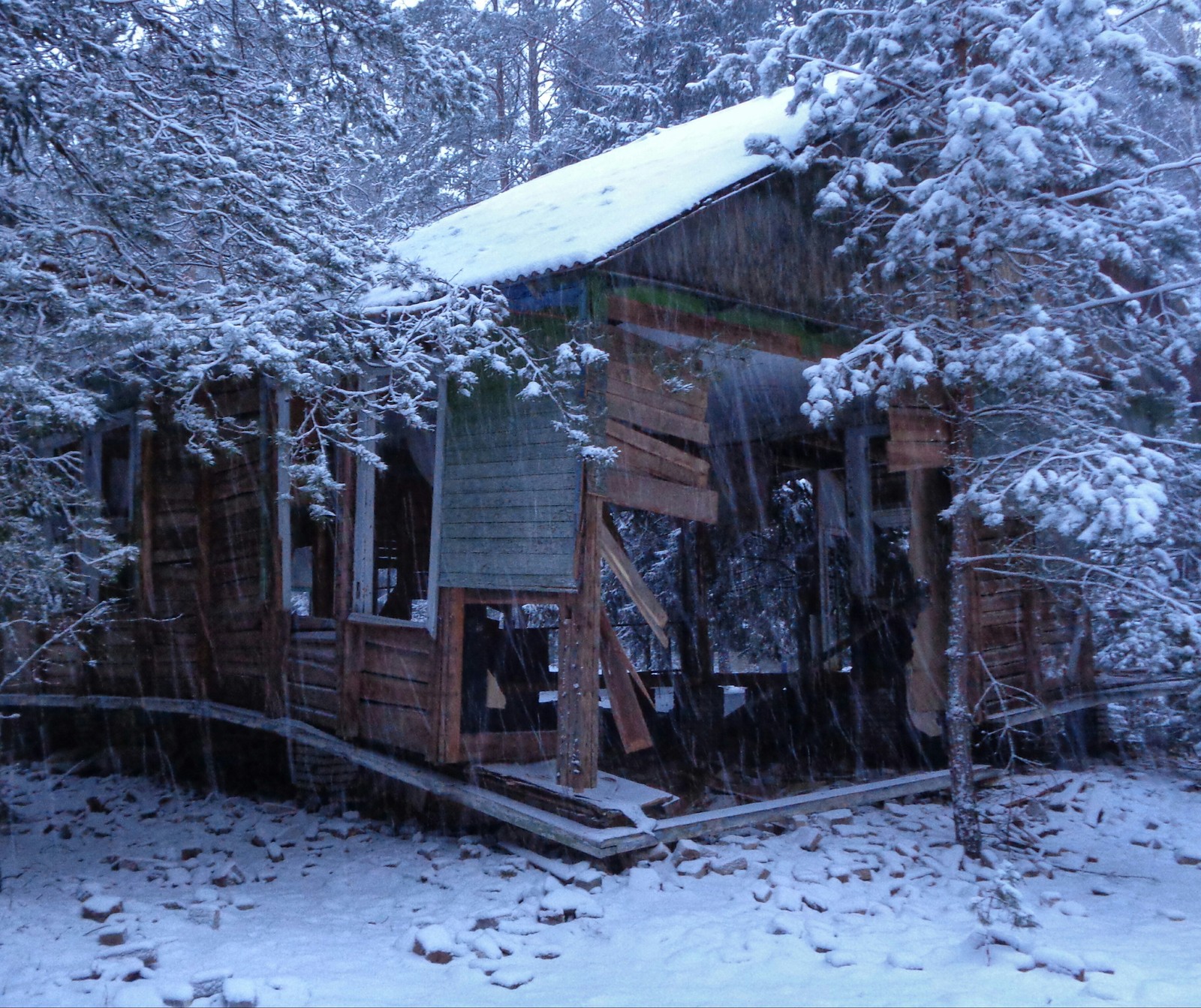 Abandoned children's camp Zorka - My, Urbanturizm, Abandoned, Nature, Republic of Belarus, Orsha, Back to USSR, Collapse of the USSR, 1998, Longpost, Urbanturism