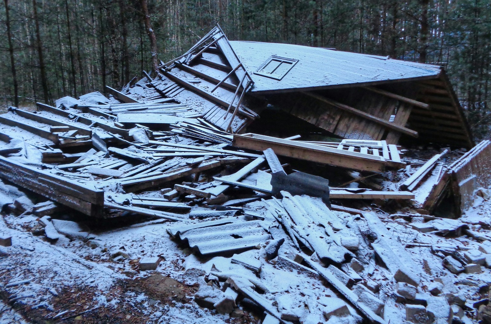 Abandoned children's camp Zorka - My, Urbanturizm, Abandoned, Nature, Republic of Belarus, Orsha, Back to USSR, Collapse of the USSR, 1998, Longpost, Urbanturism