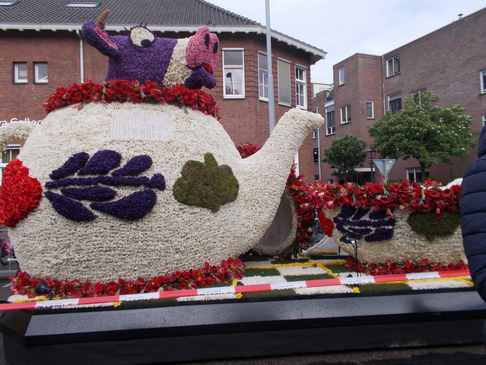 Flower parade in Haarlem - My, Parade, Holland, , Tulips, Flowers, Longpost, Netherlands (Holland)