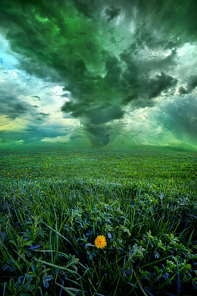 Emerald Skylines of Wisconsin - The photo, Horizon, Nature, Weather, Color, Emerald, Wisconsin, Landscape, Longpost