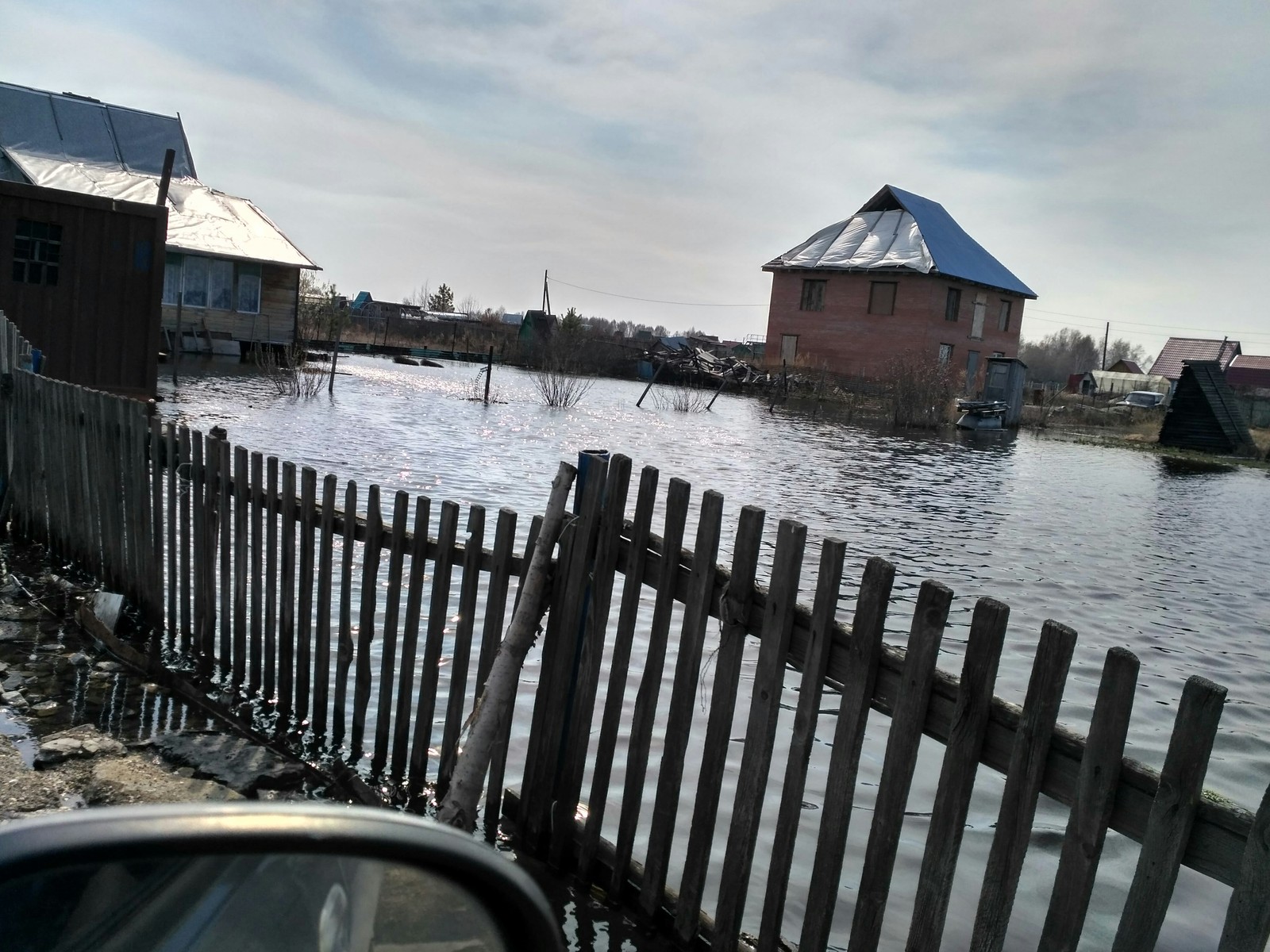 Затопило дачи в Толмачево | Пикабу