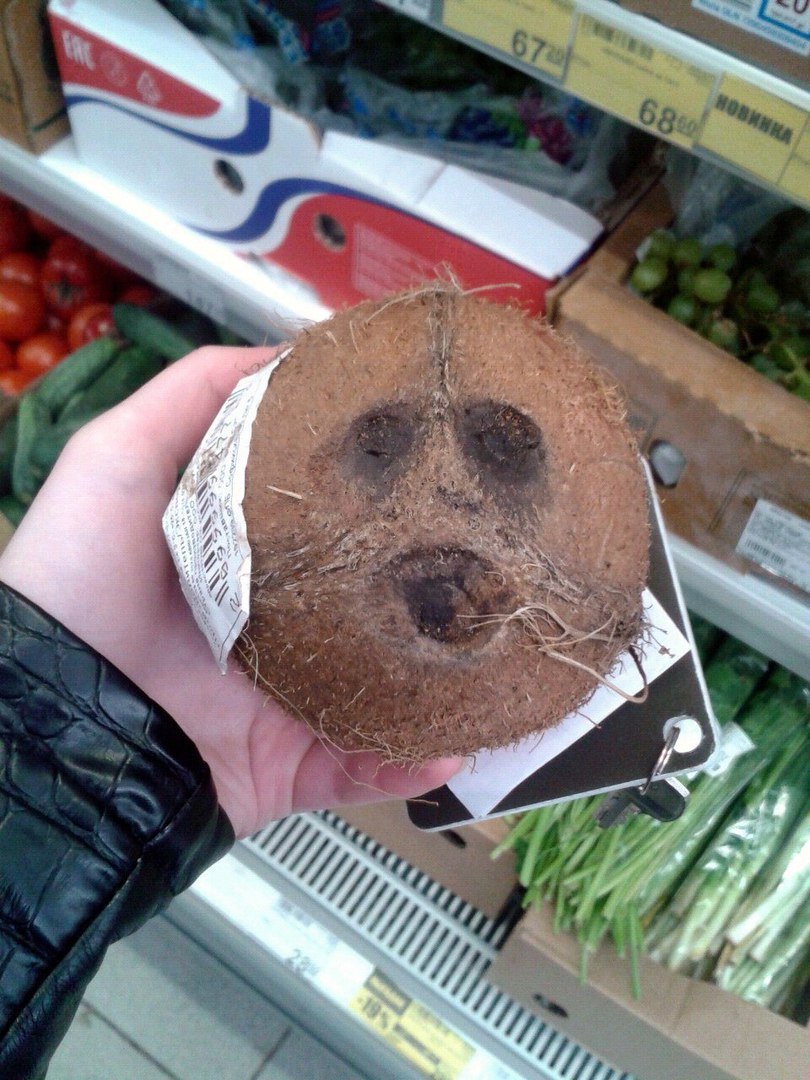 Just a coconut... - My, Coconut, Face