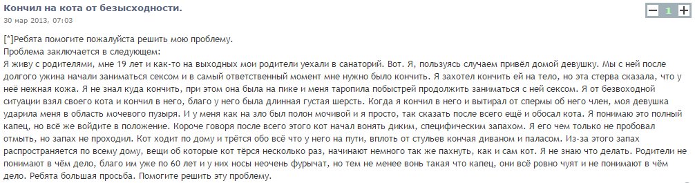 Кончил на кота от безысходности - Секс, Эякуляция, Сперма, Кончил, Кот, Конча