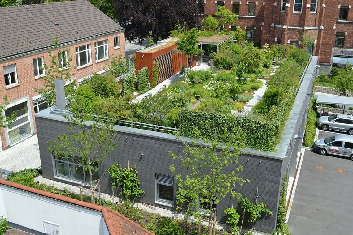 Виды садов на крыше. Эксплуатируемая плоская кровля Green Roof. Руф Гарден Лондон Контейнерное Озеленение. Грин-Руф плоские кровли. Экстенсивная зеленая кровля плоская.