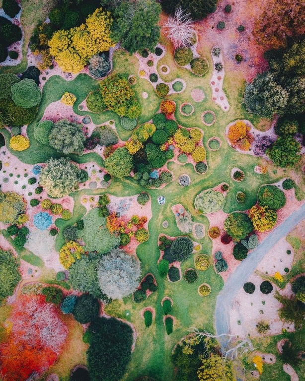 This aerial photo of a garden looks like a surrealist painting - Reddit, Garden, Tree, The photo