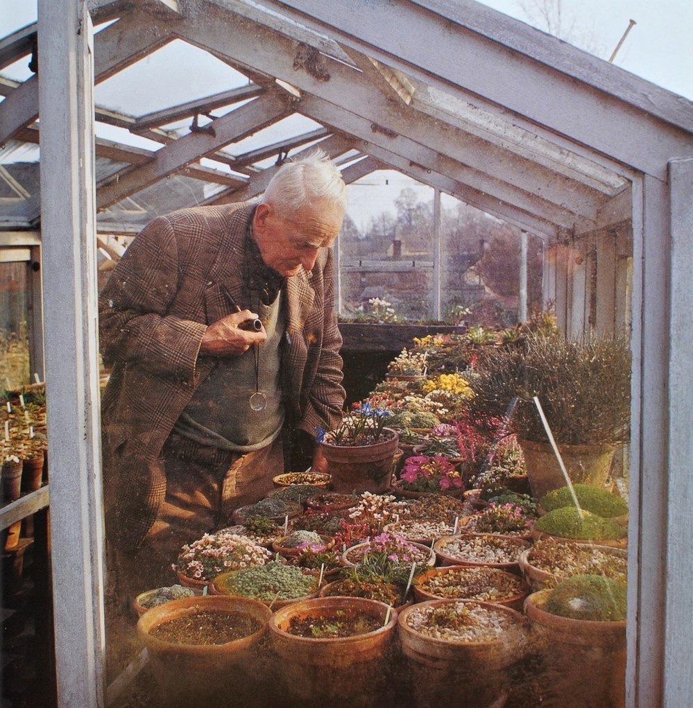 John Tolkien in his greenhouse - Tolkien, Past, 20th century, Flowers, Writer, Tolkienists, Writers