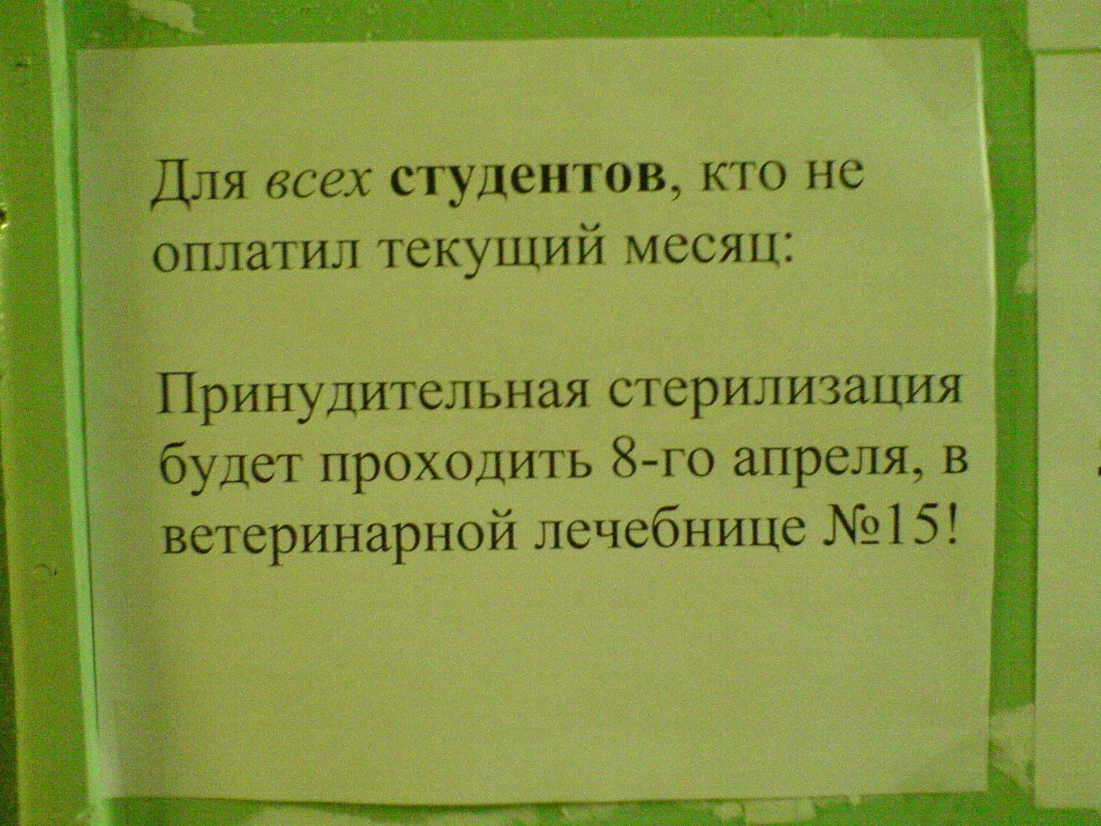 Баяны из инбокса. 1. - Баян, Фольксваген жук, Миэт, Длиннопост, Повтор, Volkswagen Beetle