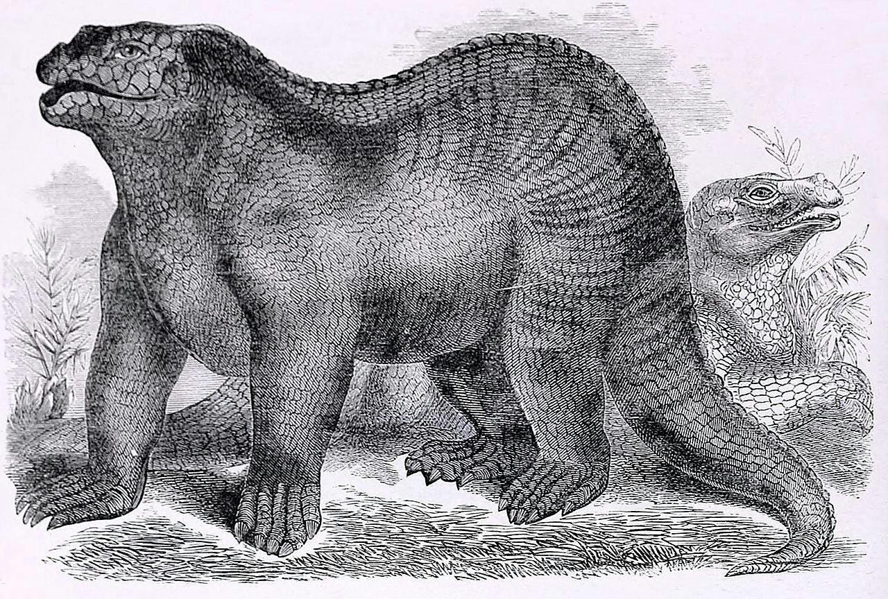 Iguanodon - Dinosaurs, Paleontology, Iguanodon, Longpost