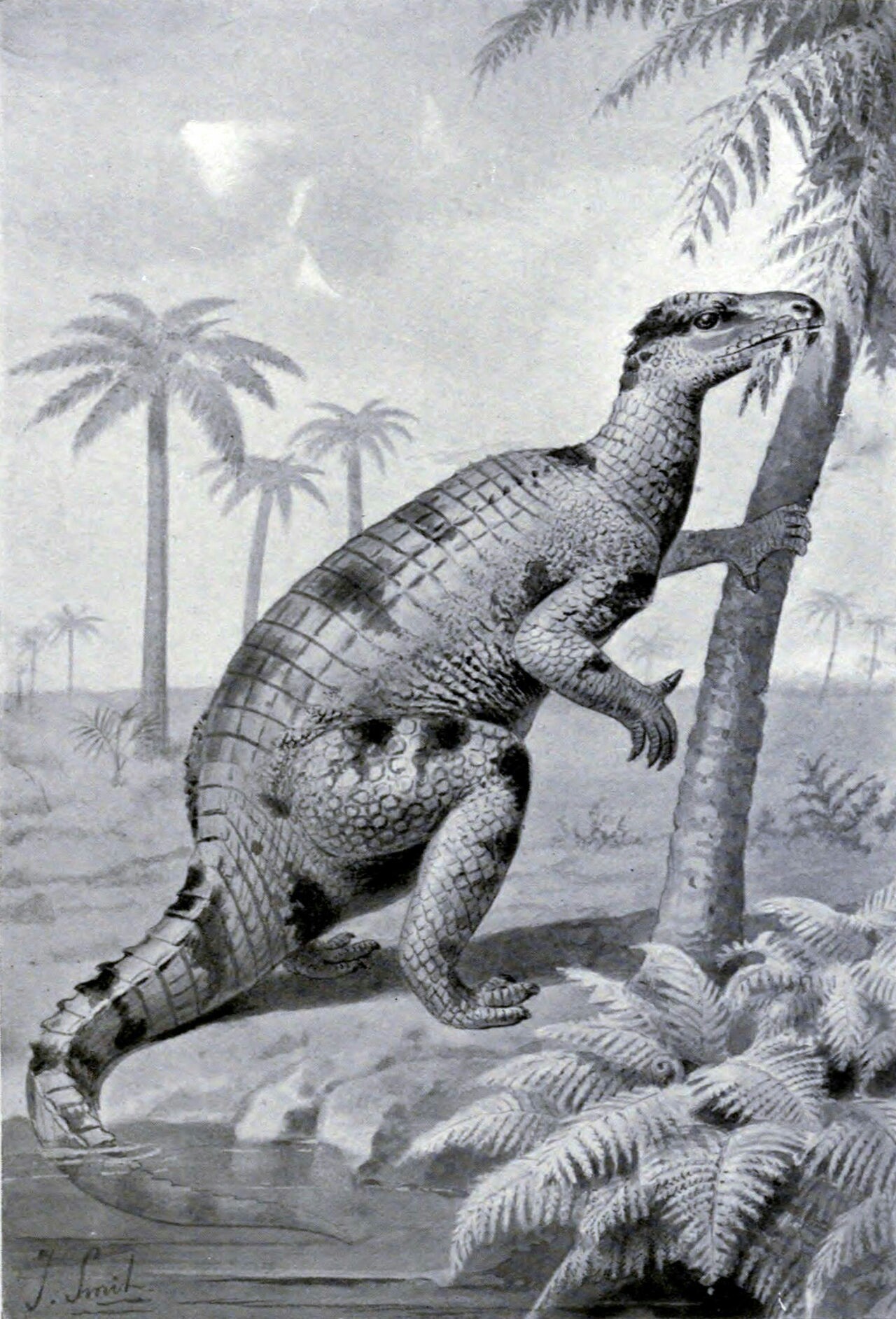 Iguanodon - Dinosaurs, Paleontology, Iguanodon, Longpost