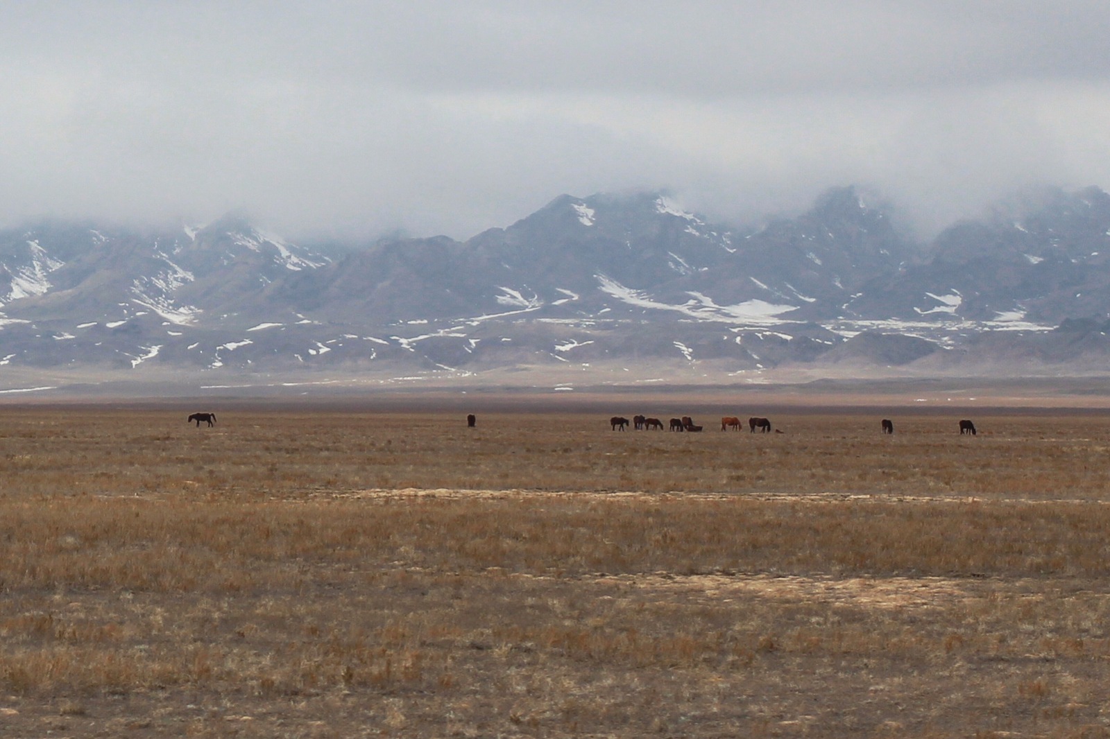 Kazakhstan, trip from Almaty to Chundzha - My, The mountains, Road, Kazakhstan, Nature, The photo, Longpost, My