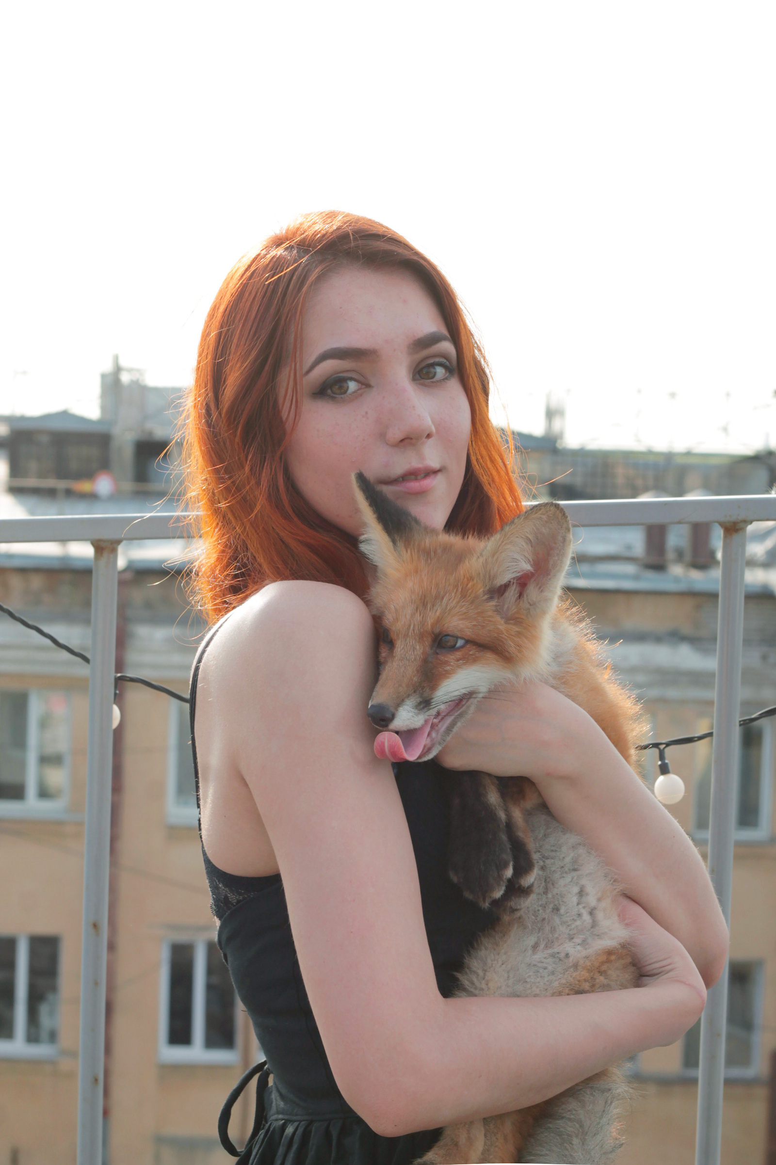 When Sonya was a fox (many photos) - My, Fox, Domestic fox, Sonya the domestic fox, Domestic foxes, Milota, Longpost