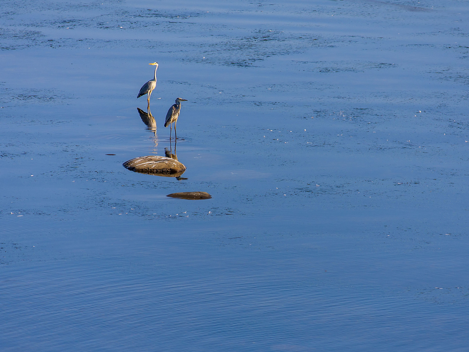 Sakhalin - Sakhalin, The photo, Russia, Дальний Восток, Ocean, Nature, Longpost