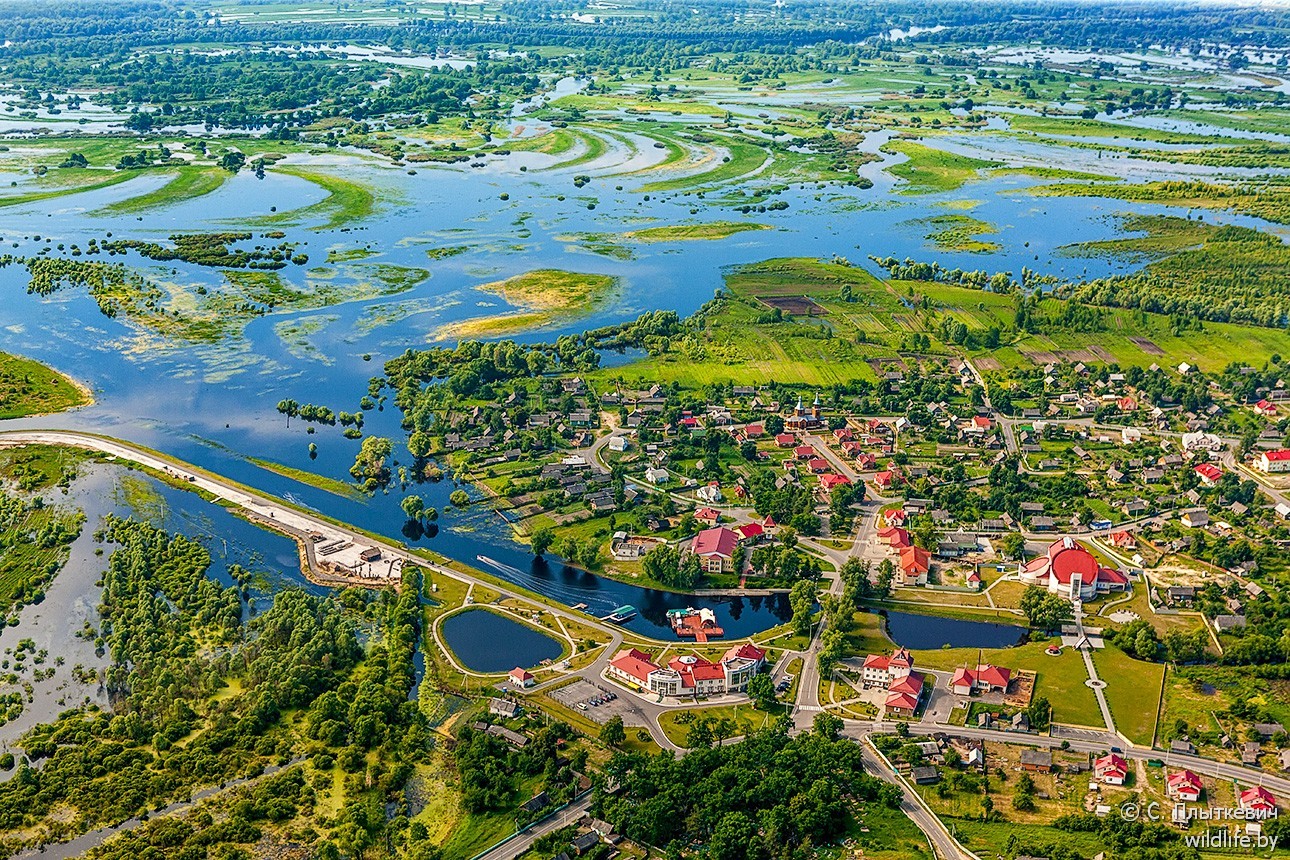 Пойма реки Припять деревня Лясковичи - Республика Беларусь, Река, Лясковичи