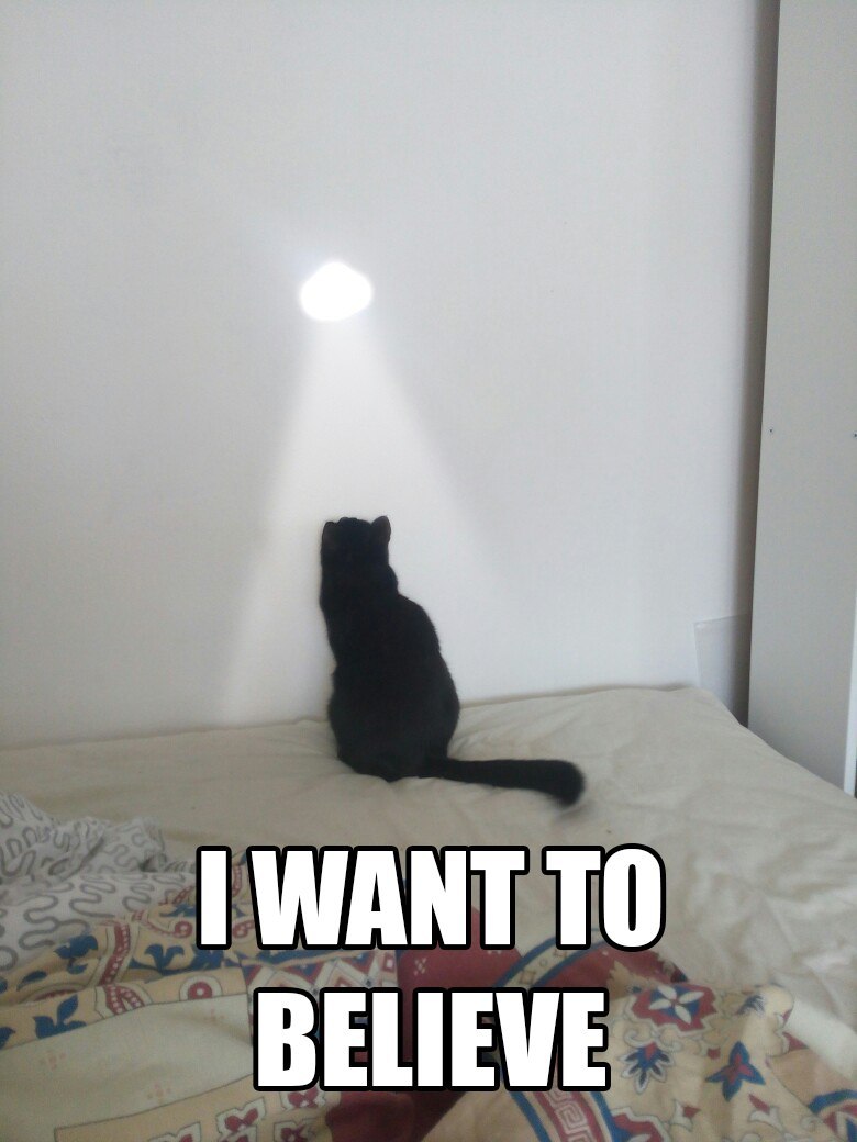 I want to believe - My, , cat