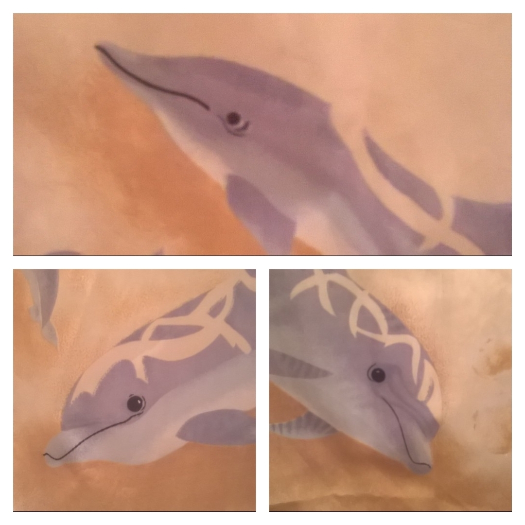 Dolphins. - My, Dolphin, The photo, My, Memes