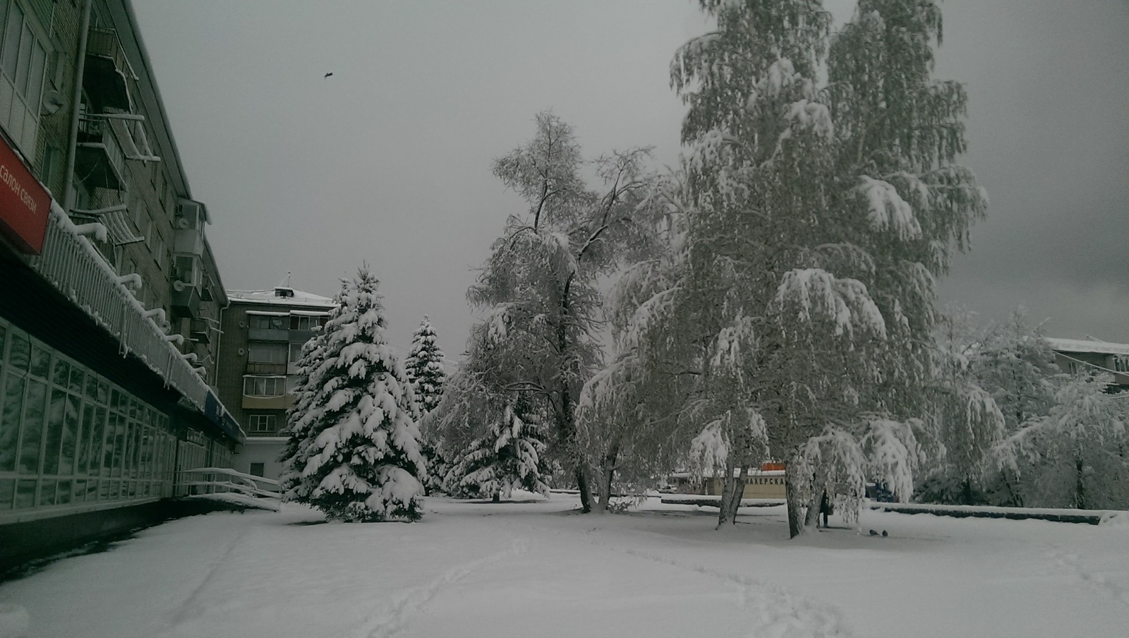 Горно Алтайск Зимой Фото