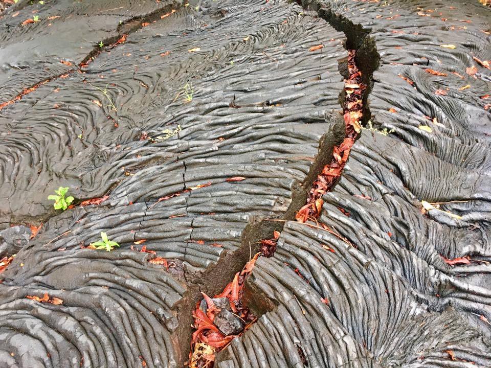 Lava fields at Manase, Samoa, Oceania. - Lava, One Hundred Years Later, , Longpost