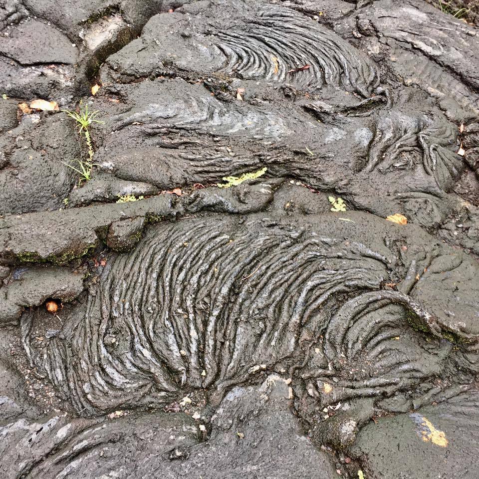 Lava fields at Manase, Samoa, Oceania. - Lava, One Hundred Years Later, , Longpost