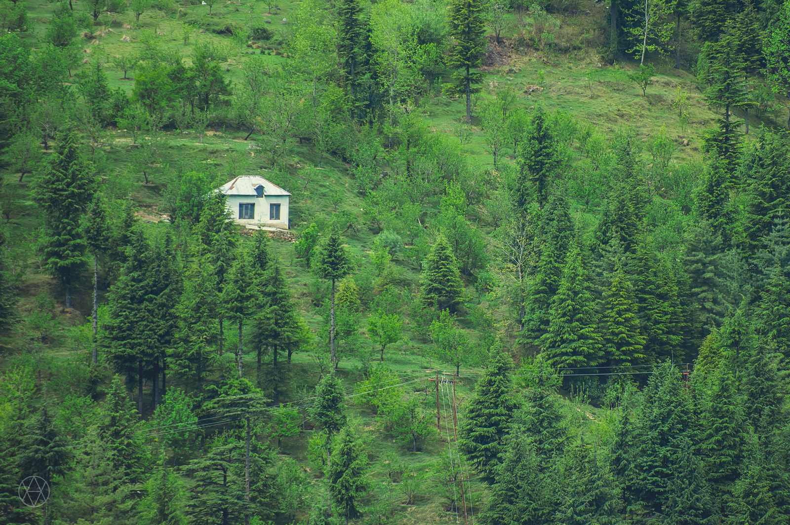 Indian Himalayas. Vashisht - My, Himalayas, , The photo, Photographer, The mountains, Longpost, India