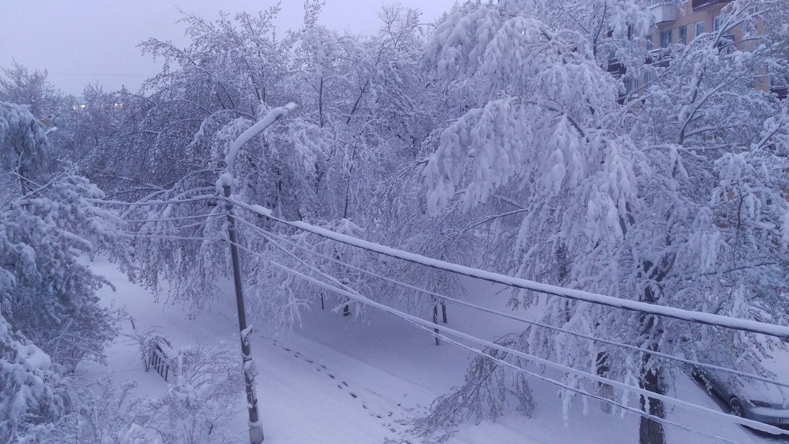 Typical May in Siberia - My, Krasnoyarsk, Snow, May, Winter, Cold