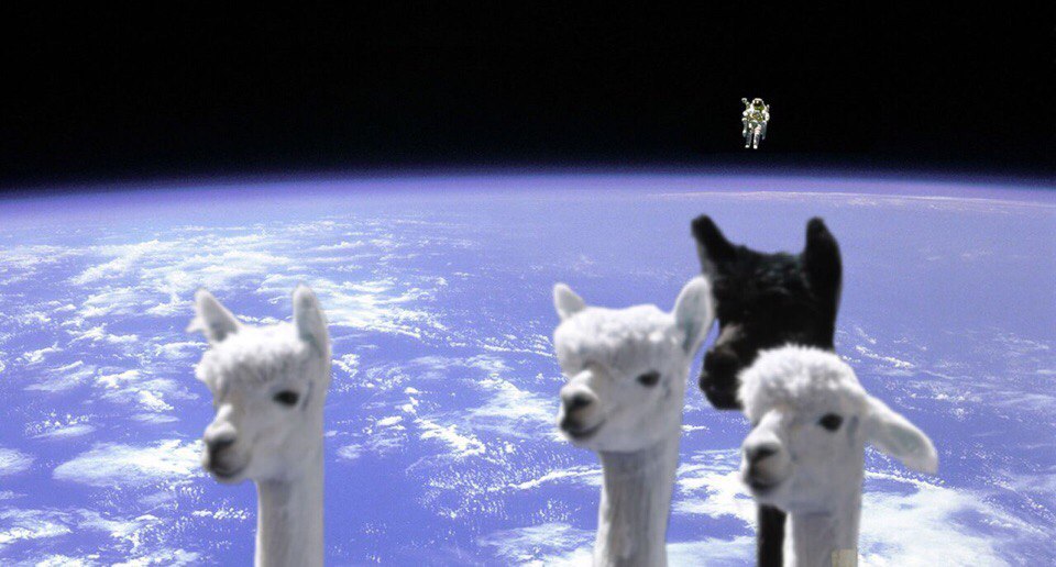 In my head when they talk about something important: - Longpost, Llama, Sloth, Space, Oddities, Humor
