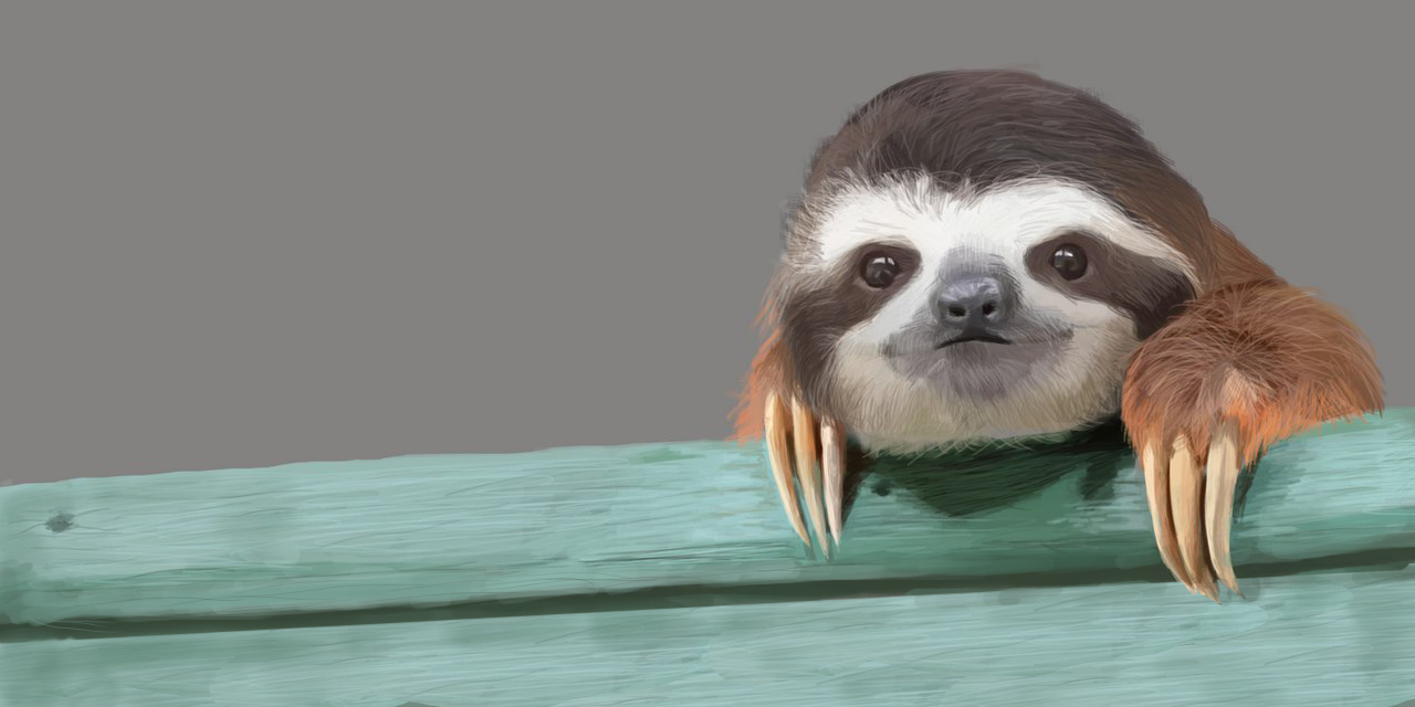 Sloth - My, Drawing, Photoshop, Art, Sloth