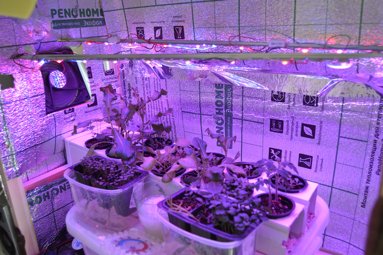 Again this hydroponics: Lighting. Part 1. - My, Hydroponics, With your own hands, Plants, Seedling, Long Post, Longpost