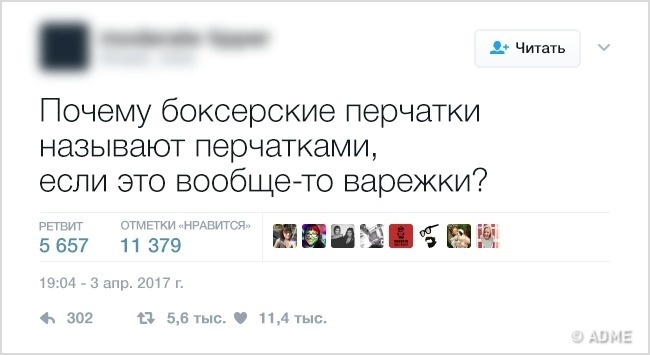 Философские твиты - Философия, Twitter