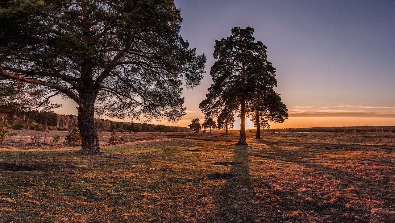 Tyumen Oblast - Tyumen region, Russia, Evening, The photo, Nature, Landscape, Summer, Longpost