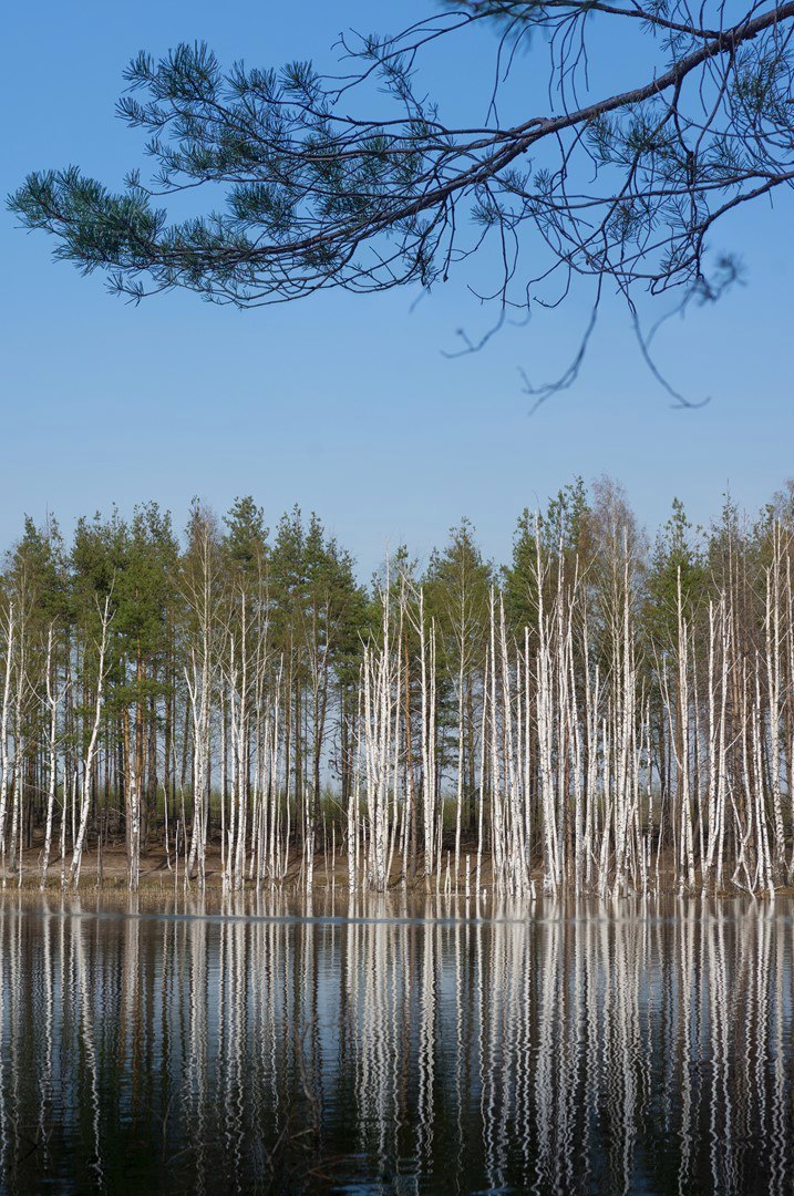 Izyary in May - My, Chuvashia, Zavolzhye, Lake, Landscape, May, Longpost