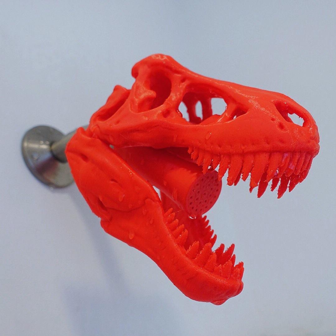 Great shower head - Shower, Nozzle, The photo, 3D printer, Dinosaurs