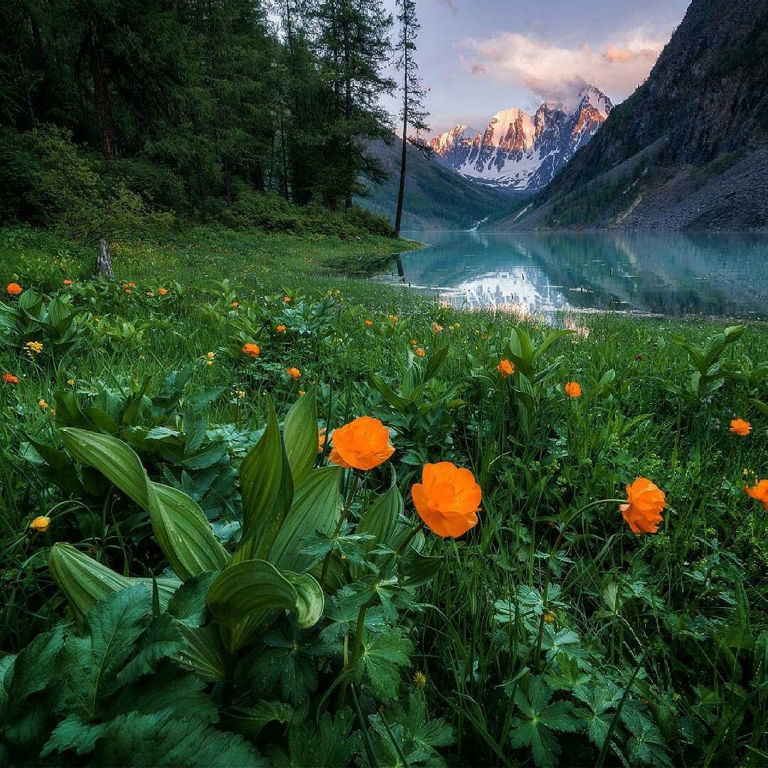 Shavlinskoye lake, Altai - The photo, Lake, Altai, Nature, beauty, Altai Republic