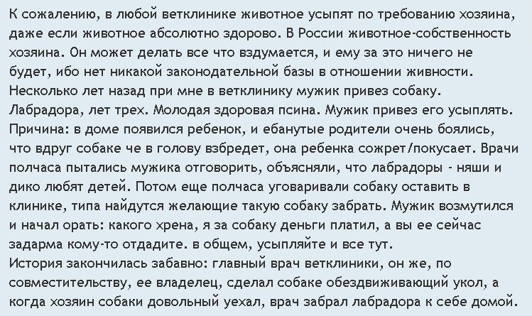 Такие люди живут среди нас - Собаки и люди, Собака, Лабрадор, Врачи, Ветеринар