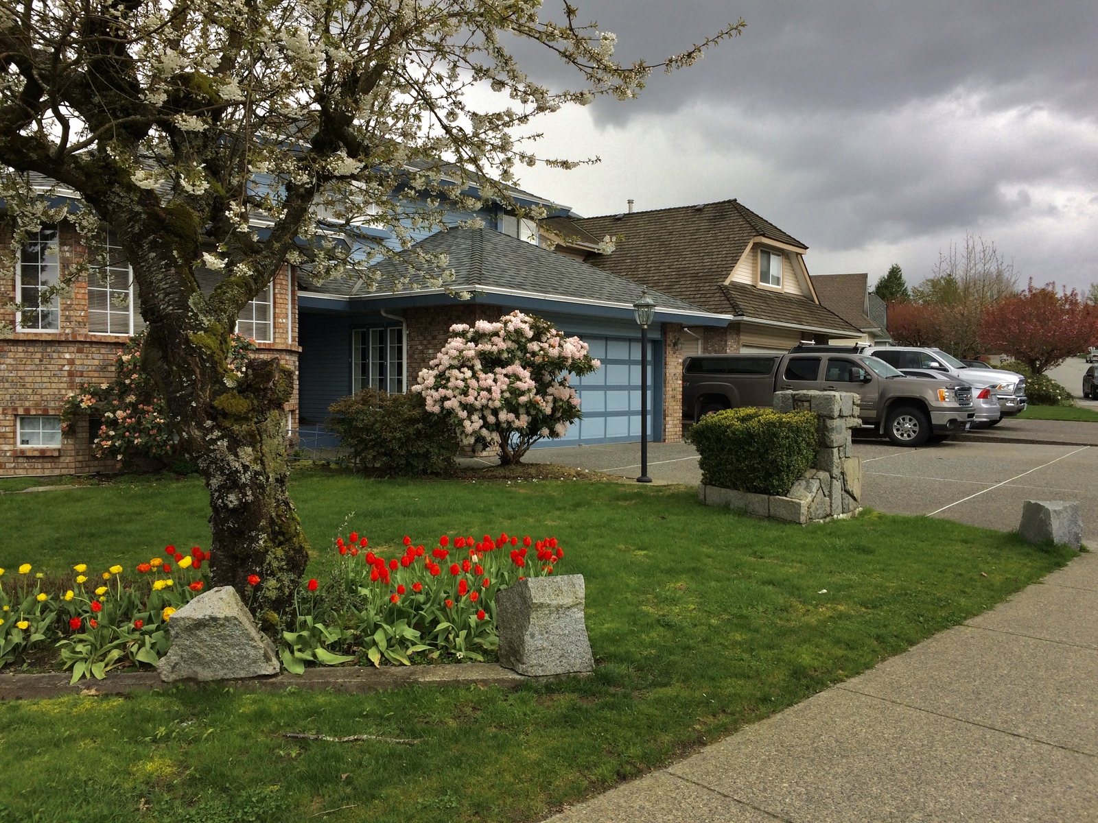 Spring Vancouver - My, Canada, Vancouver, Spring, Town, House, The street, Road, Longpost