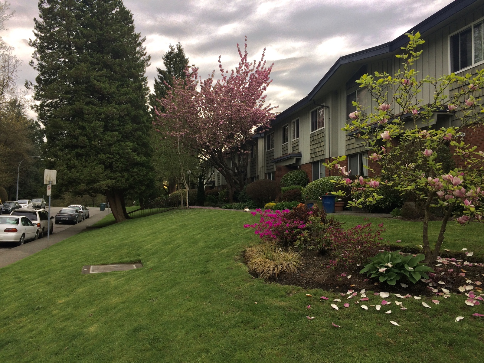 Spring Vancouver - My, Canada, Vancouver, Spring, Town, House, The street, Road, Longpost