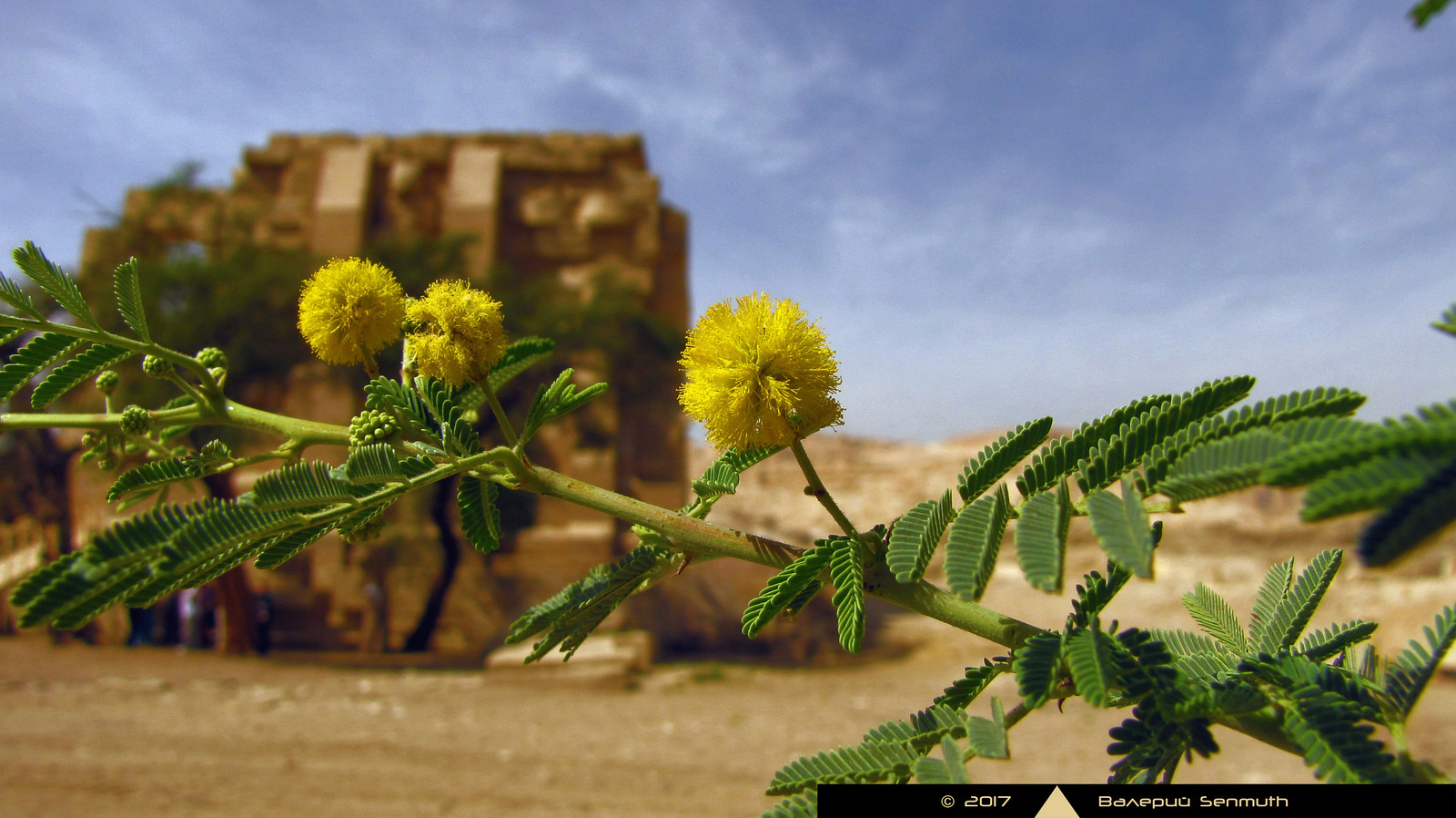 Ramesseum - My, Ancient Egypt, Pyramid, Temple, Pharaoh, Mummy, Egyptology, Story, Archeology, Longpost