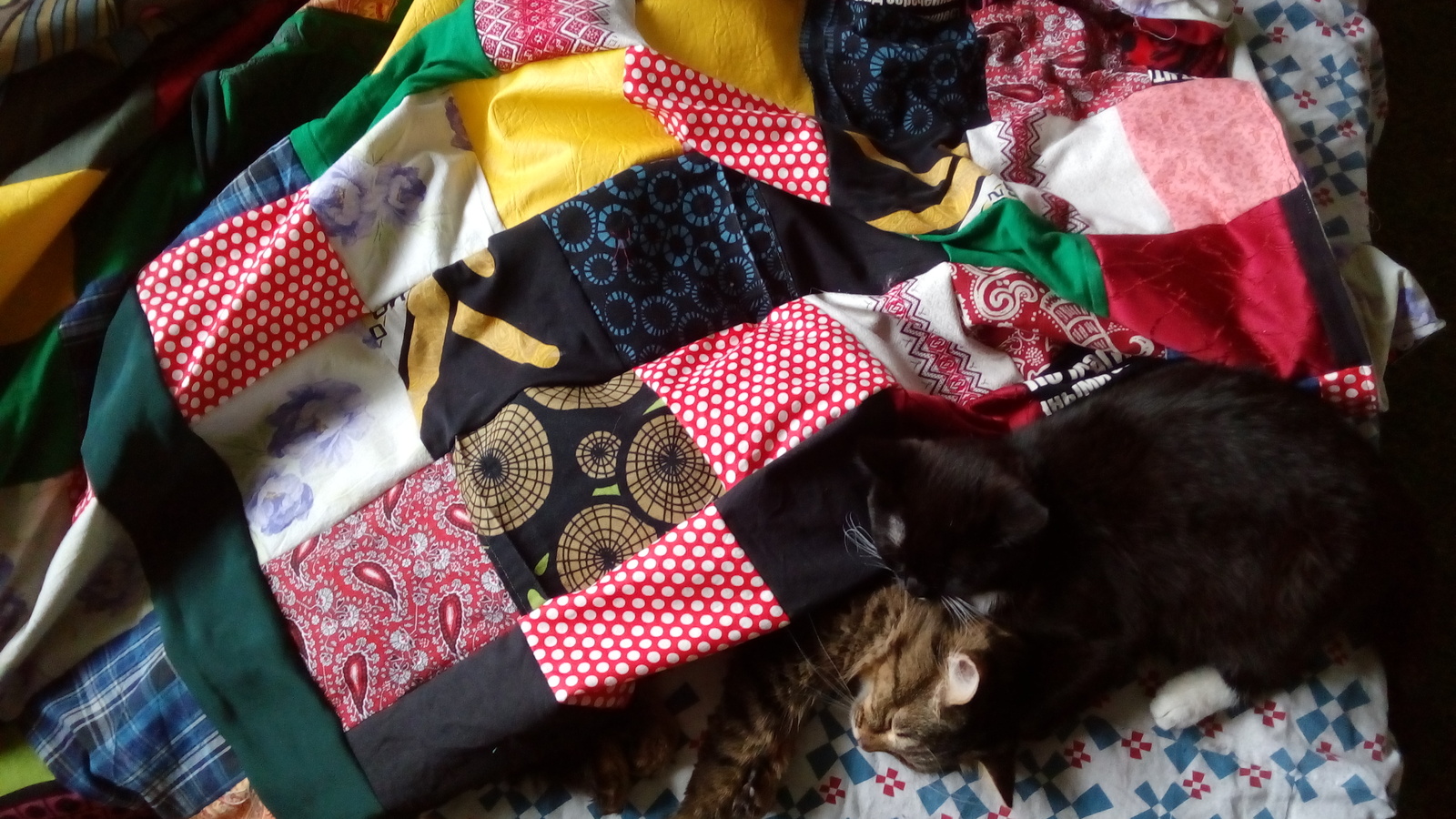 The cats were the first to check out the blanket - My, Kai Yara, Milota, Patchwork, Longpost, cat