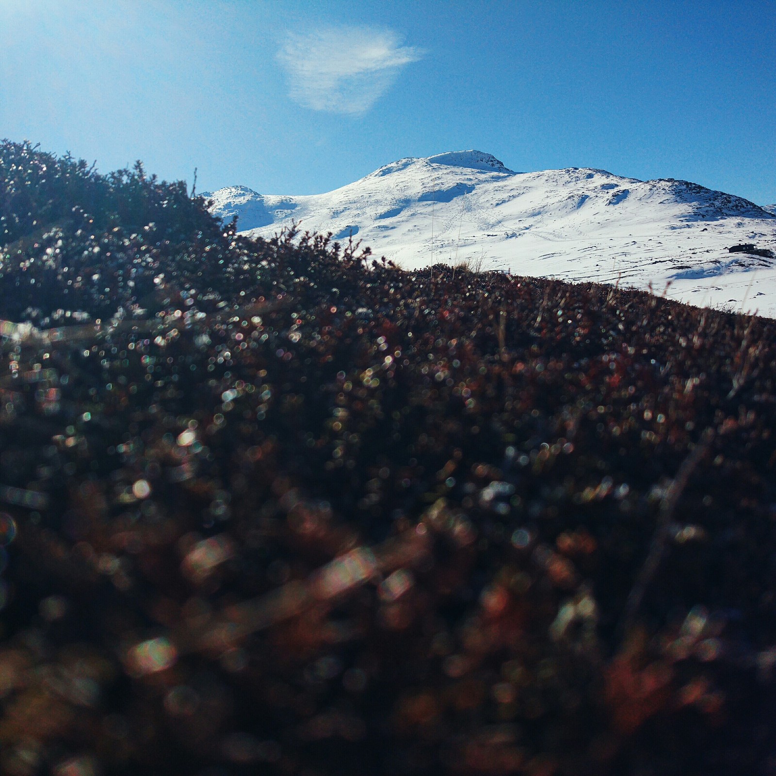 A few mountains in your feed. - My, Peekaboo, Norway, The mountains, The photo, , A selection, Longpost