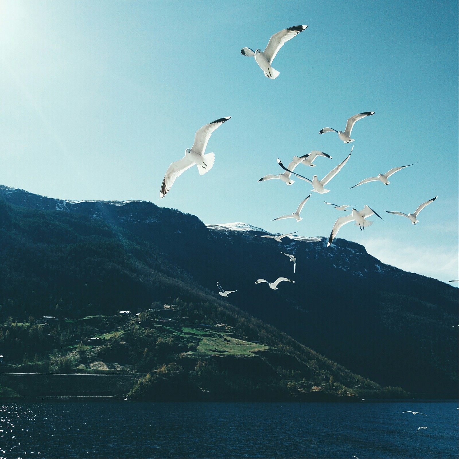 A few mountains in your feed. - My, Peekaboo, Norway, The mountains, The photo, , A selection, Longpost