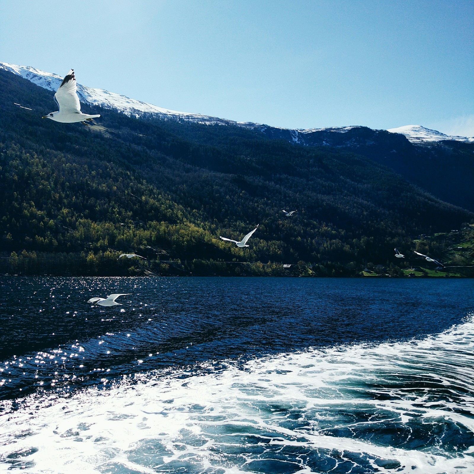 A few mountains in your feed. - My, Peekaboo, Norway, The mountains, The photo, , A selection, Longpost